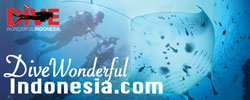 DiveWonderfulIndonesia.com